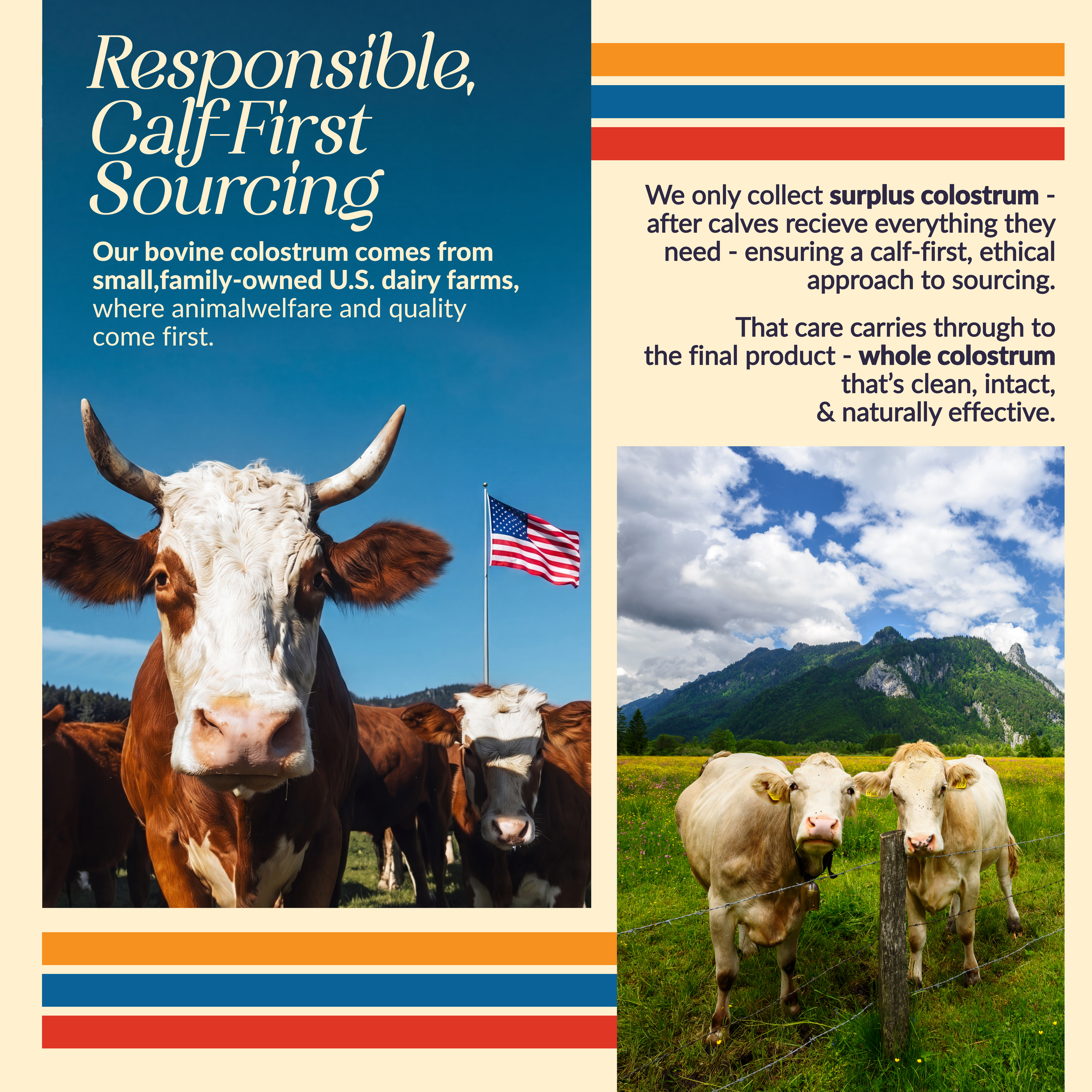 Bovine Colostrum Gummies